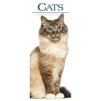 image  Main Product Image