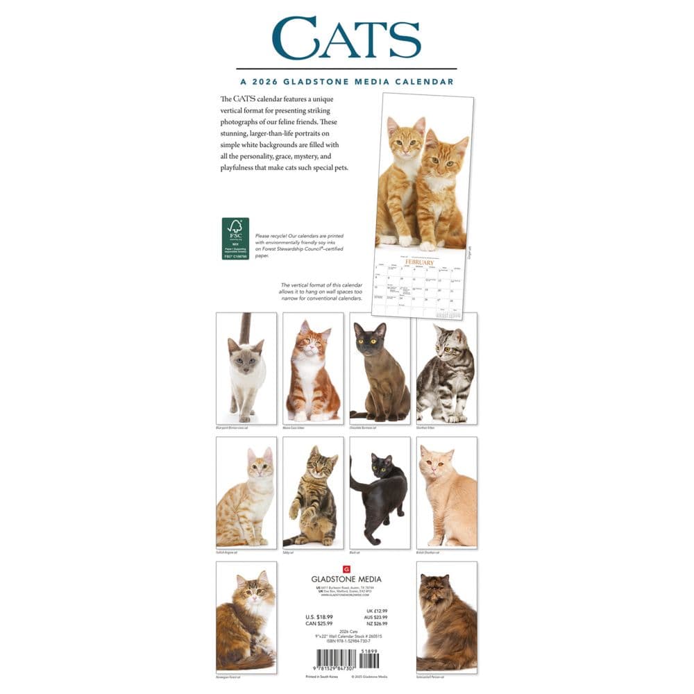  First Alternate Image