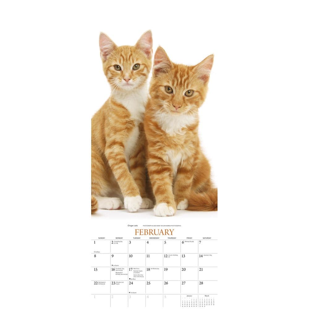  Second Alternate Image