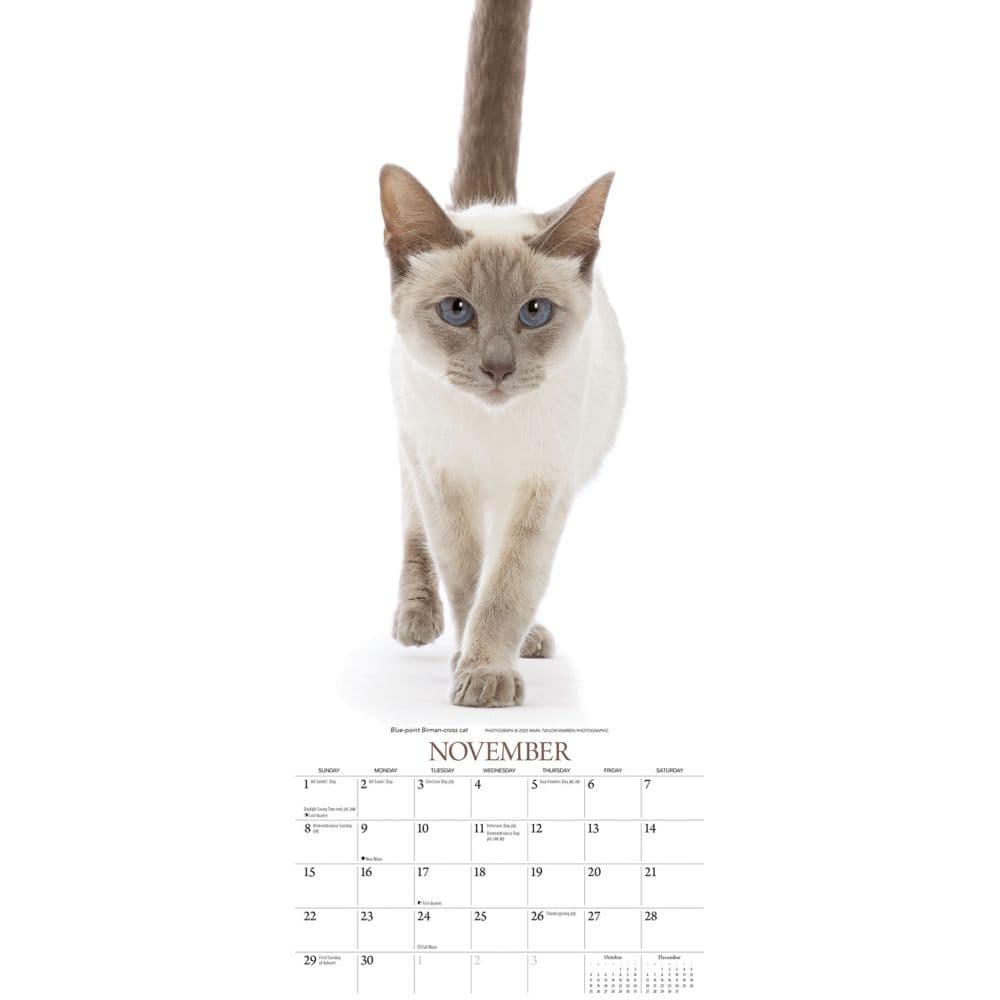  Fourth Alternate Image