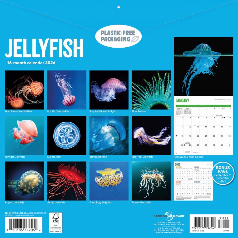 Jellyfish 2026 Wall Calendar - Calendars.com