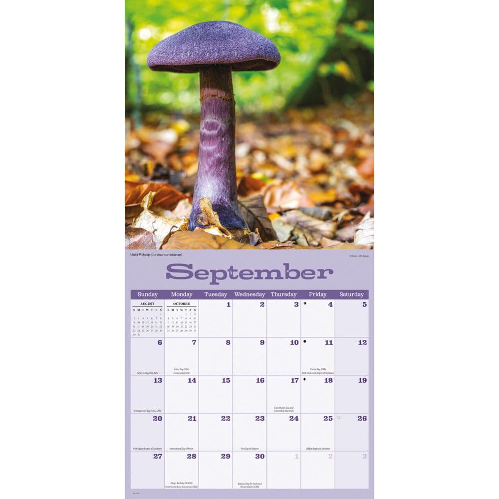 World'S Greatest Mushrooms Calendar 2025 Bring Joy & Stay Organized - View #2