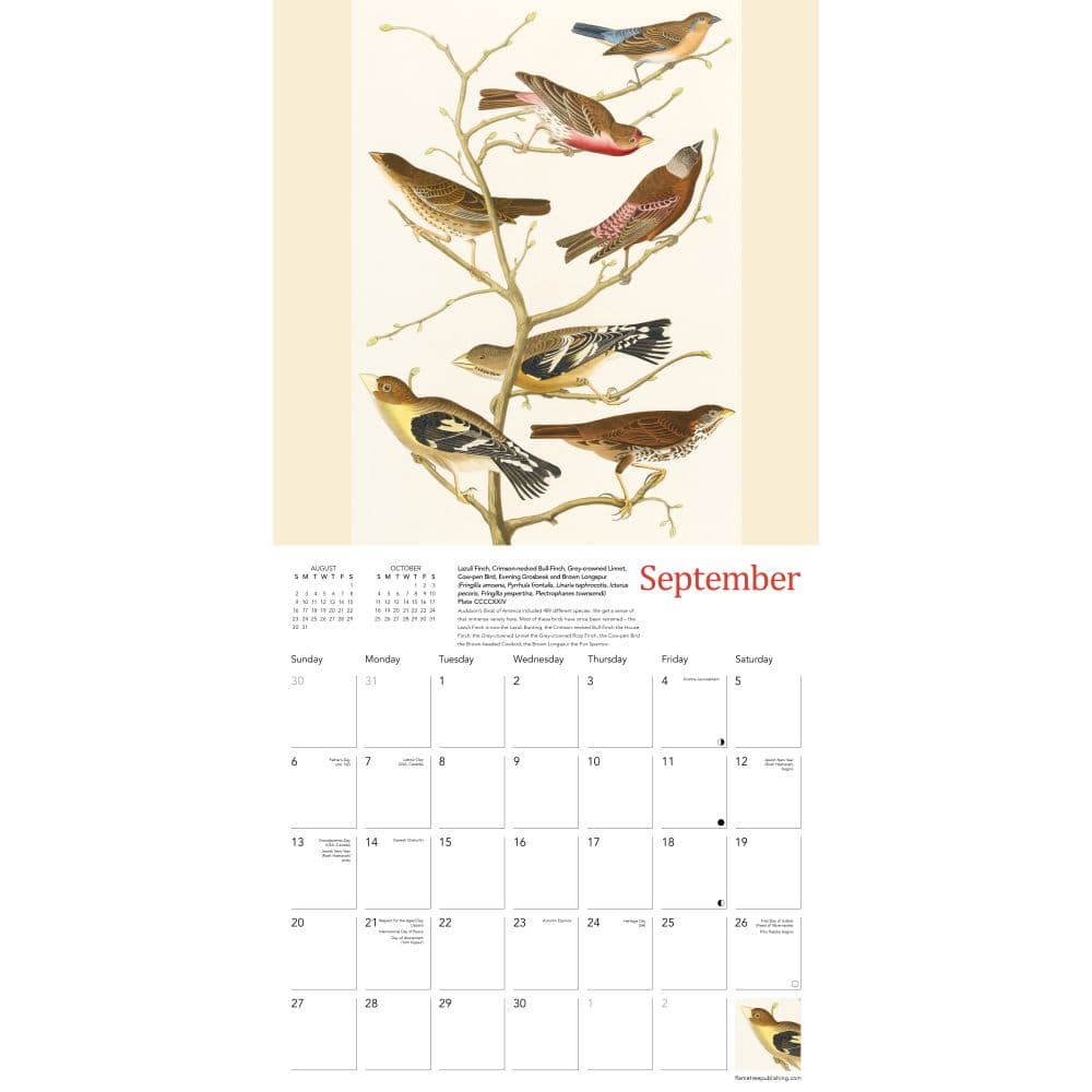  Third Alternate Image