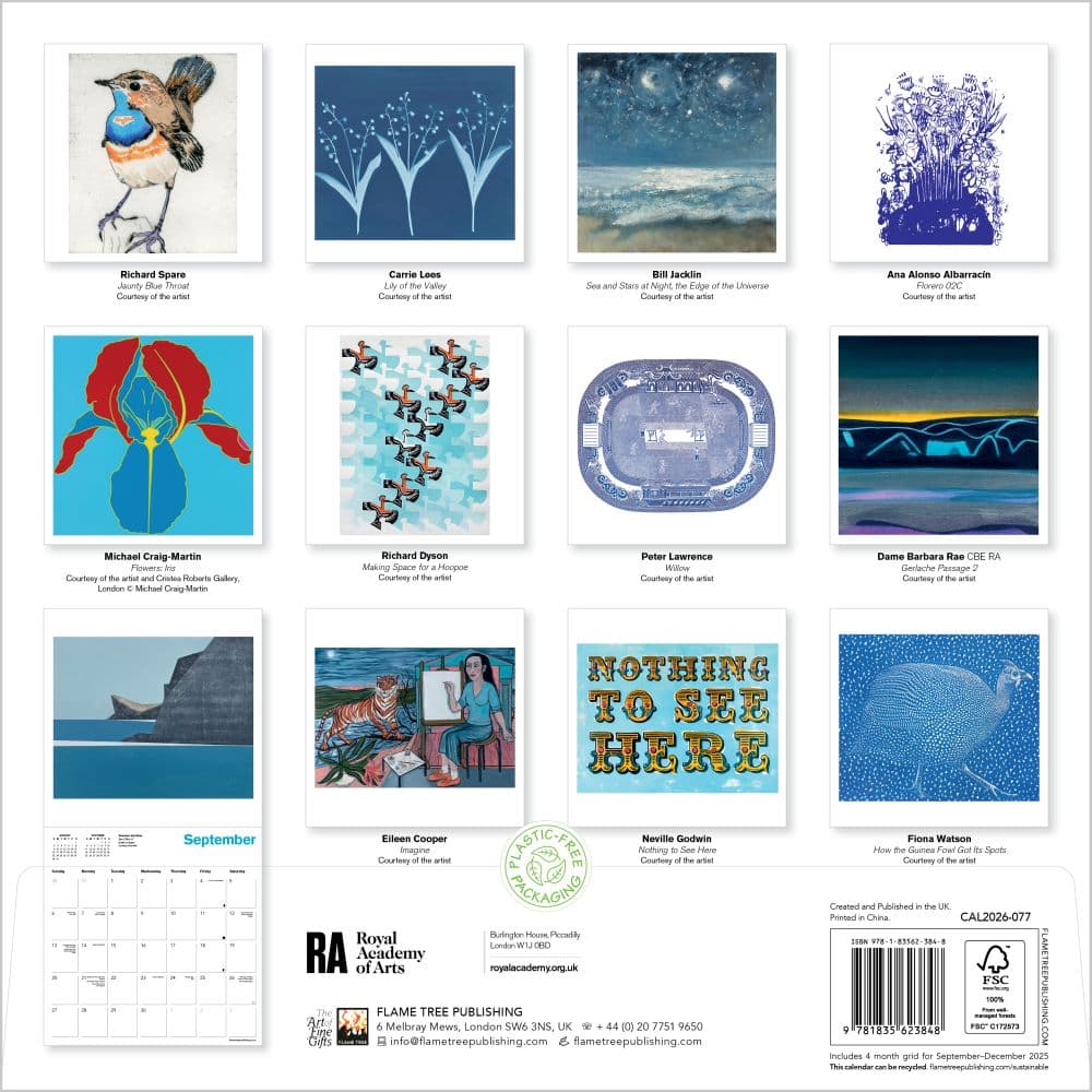  First Alternate Image