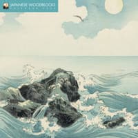 image  Main Product Image