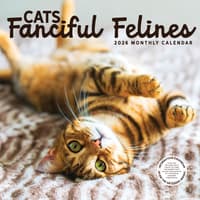 image  Main Product Image