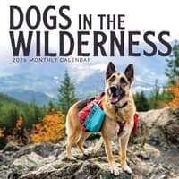 image  Main Product Image