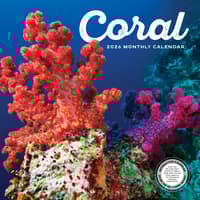 image  Main Product Image