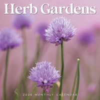 image  Main Product Image