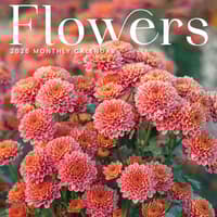 image  Main Product Image