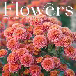 Flowers 2026 Wall Calendar