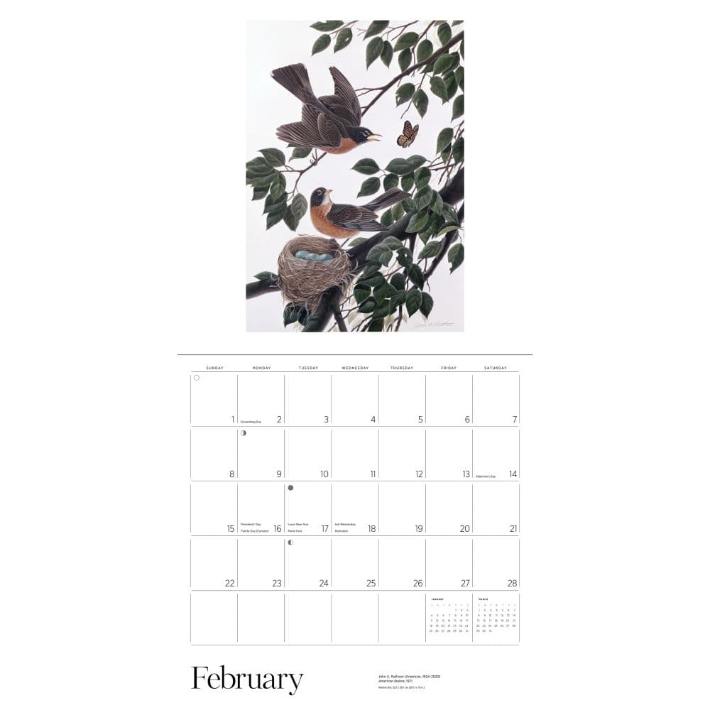  Third Alternate Image