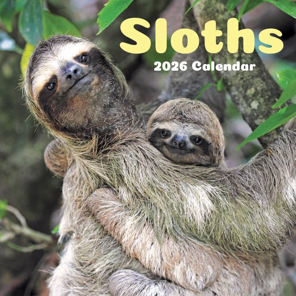 Sloths 2026 Wall Calendar
