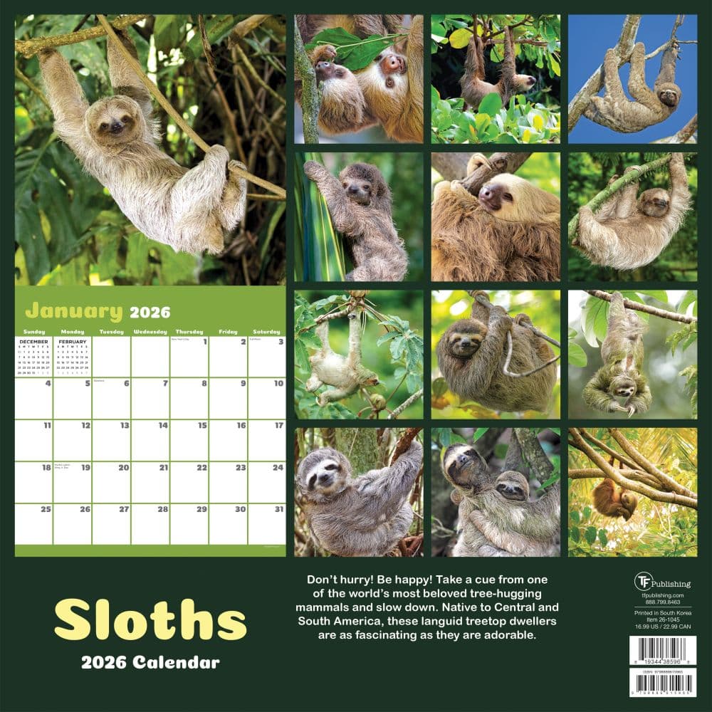 Sloths 2026 Wall Calendar First Alternate Image