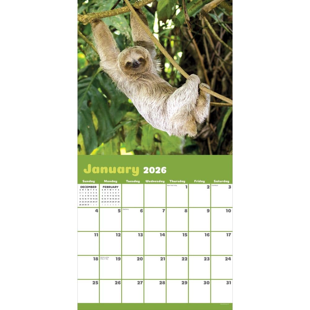 Sloths 2026 Wall Calendar Second Alternate Image