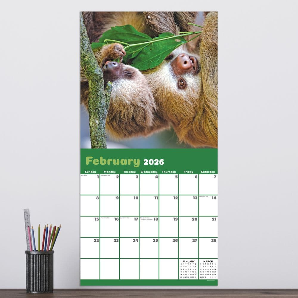 Sloths 2026 Wall Calendar Third Alternate Image