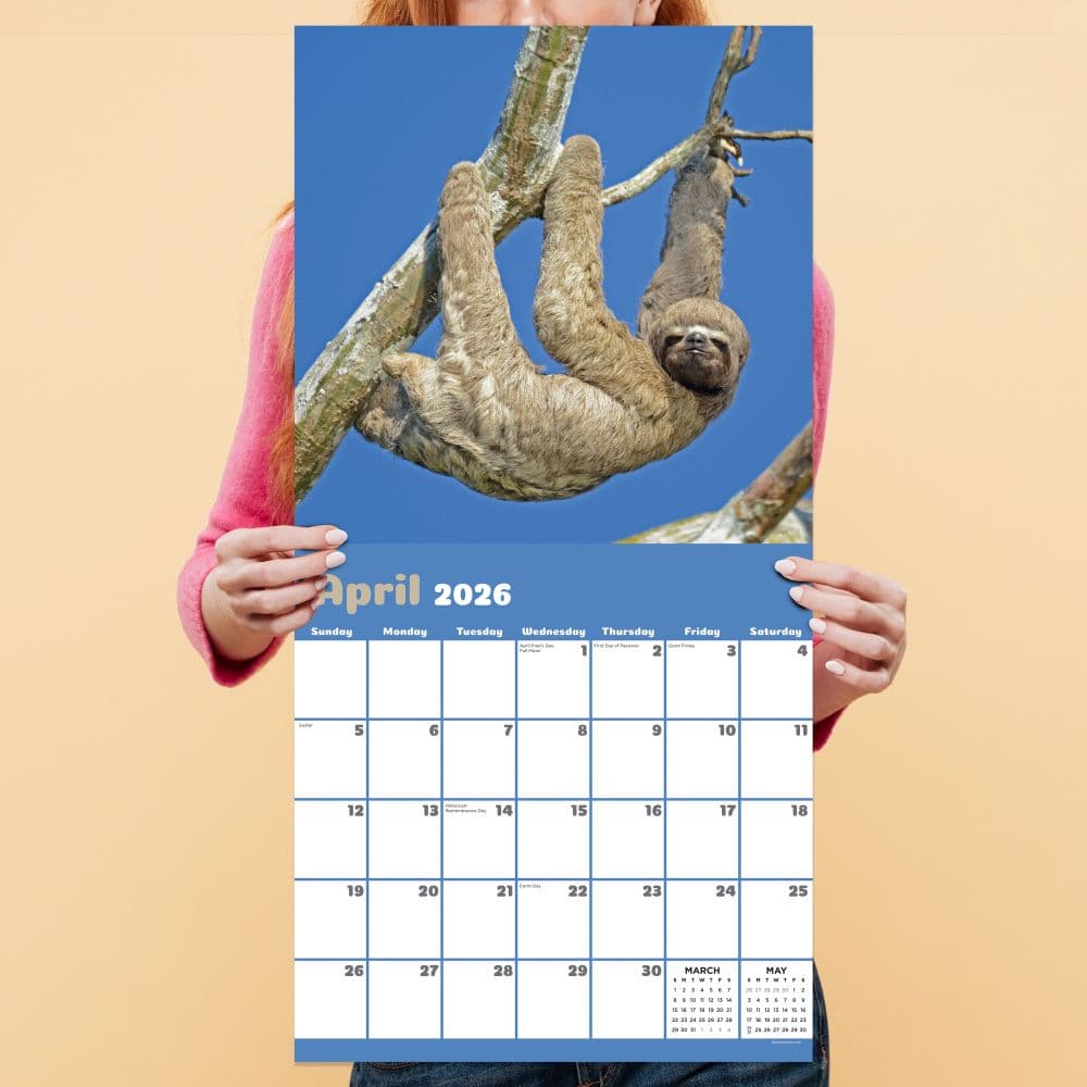 Sloths 2026 Wall Calendar Fourth Alternate Image