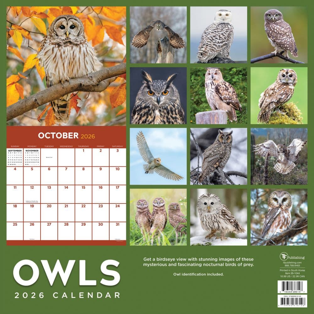 Owls 2026 Wall Calendar First Alternate Image