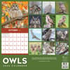 image Owls 2026 Wall Calendar First Alternate Image