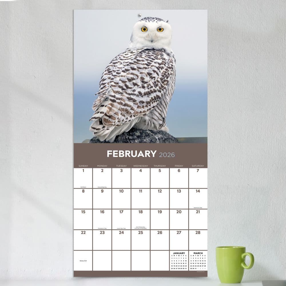 Owls 2026 Wall Calendar Third Alternate Image