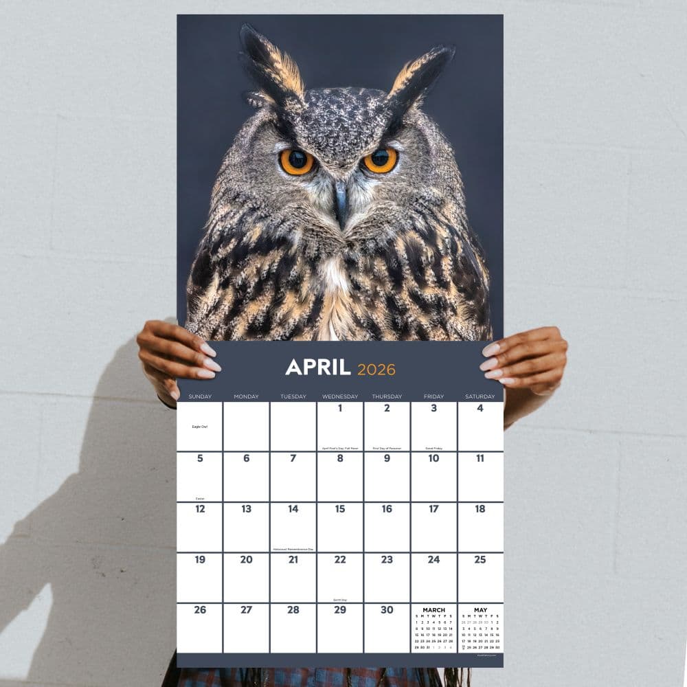 Owls 2026 Wall Calendar Fourth Alternate Image