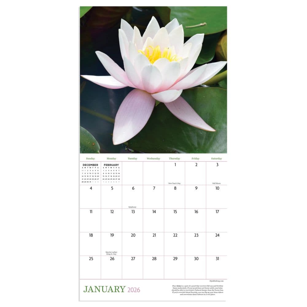 Flowers 2026 Mini Wall Calendar Second Alternate Image