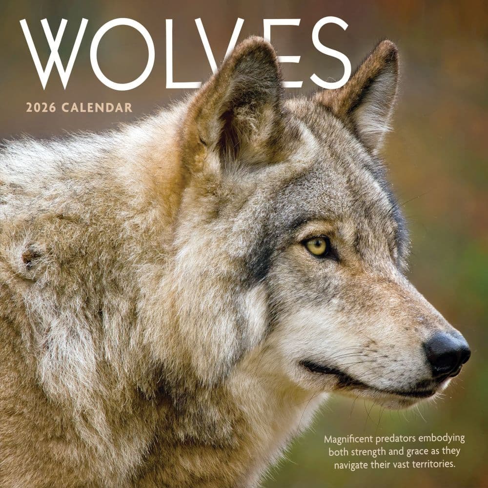 Wolves 2026 Wall Calendar Main Product Image