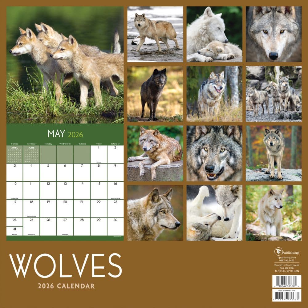 Wolves 2026 Wall Calendar First Alternate Image