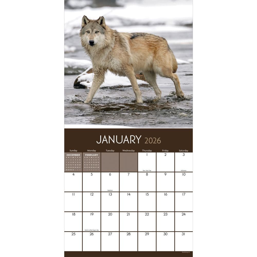 Wolves 2026 Wall Calendar Second Alternate Image