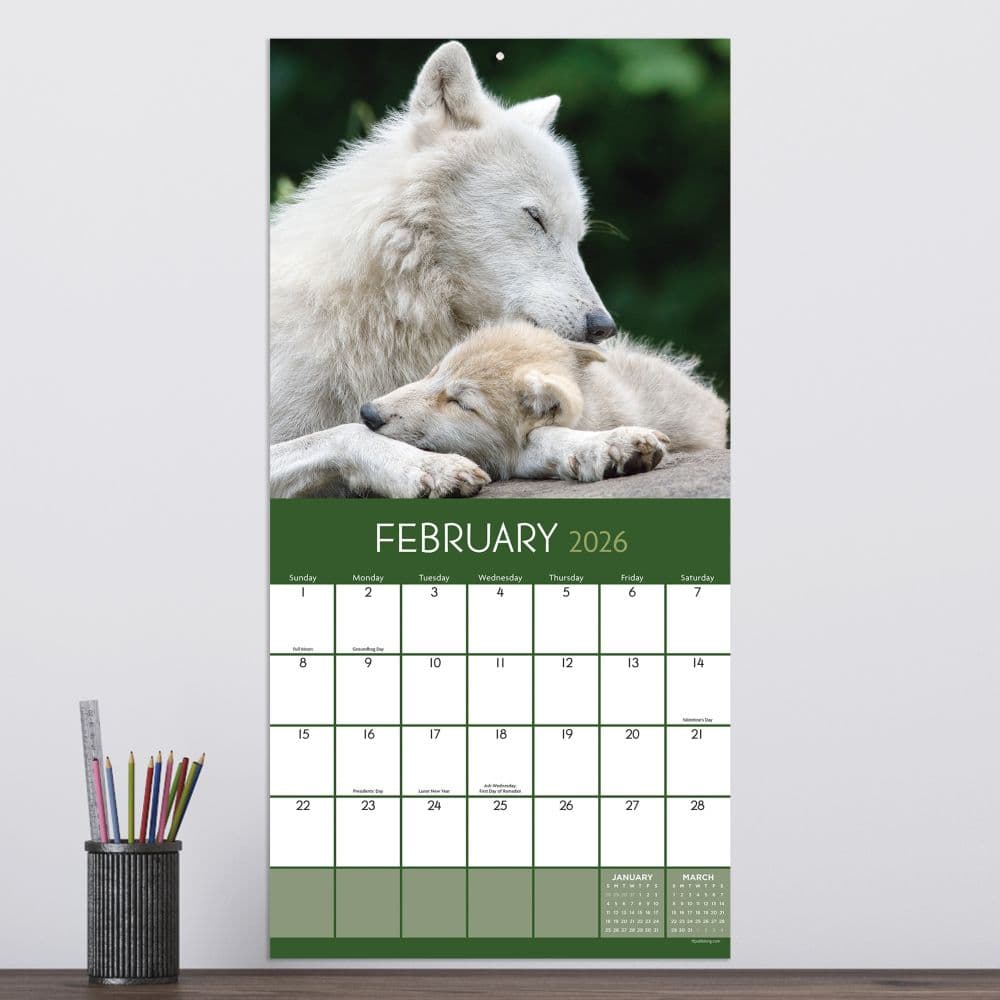 Wolves 2026 Wall Calendar Third Alternate Image
