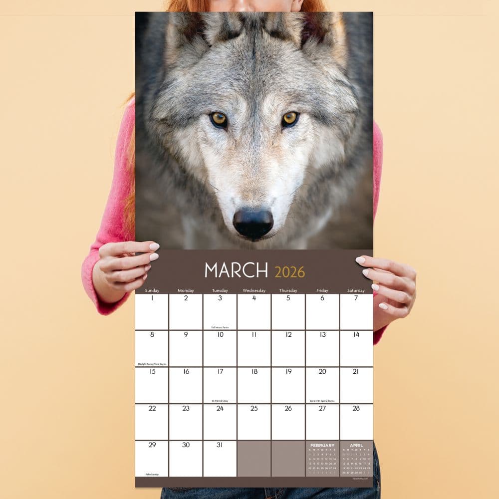 Wolves 2026 Wall Calendar Fourth Alternate Image