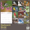 image Backyard Birds 2026 Wall Calendar First Alternate Image