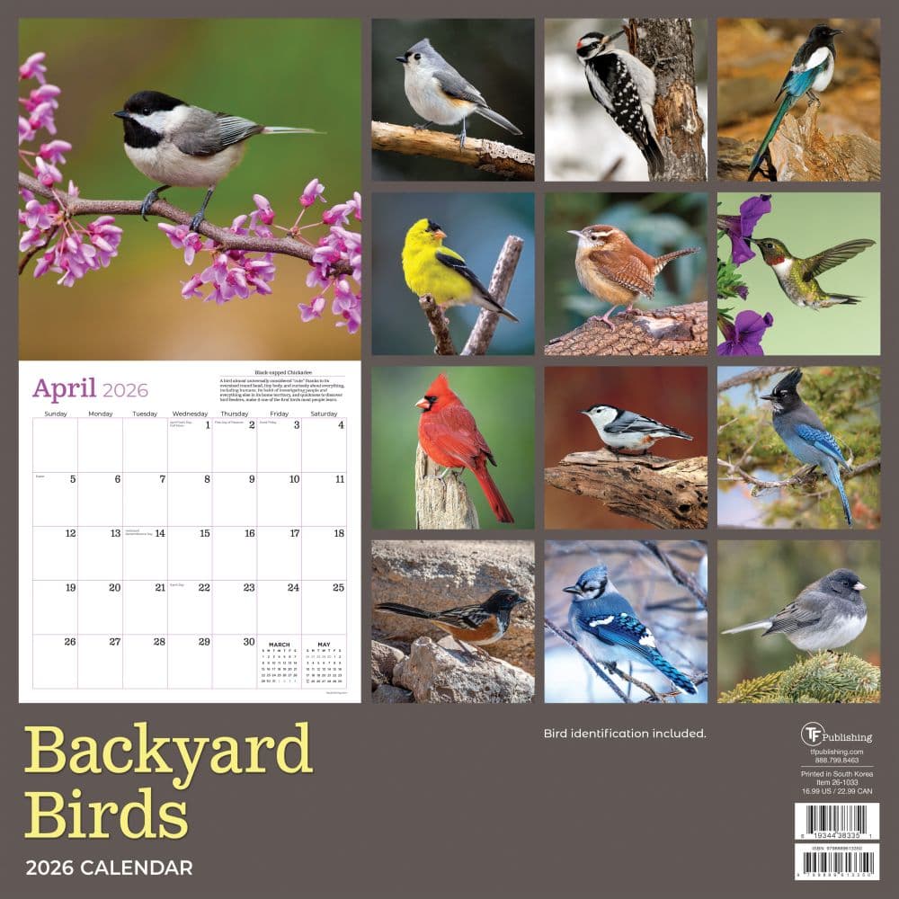 Backyard Birds 2026 Wall Calendar First Alternate Image