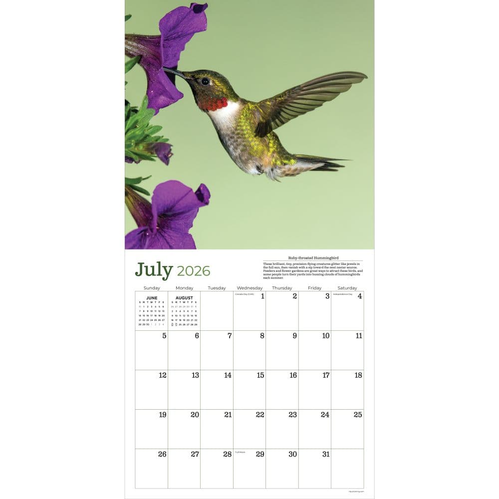 Backyard Birds 2026 Wall Calendar Second Alternate Image
