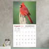 image Backyard Birds 2026 Wall Calendar Third Alternate Image