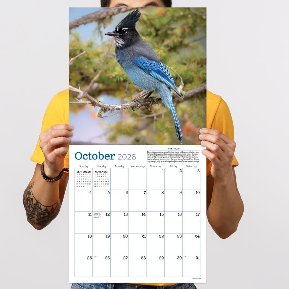 Backyard Birds 2026 Wall Calendar Fourth Alternate Image