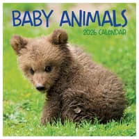 image Baby Animals 2026 Mini Wall Calendar Main Product Image