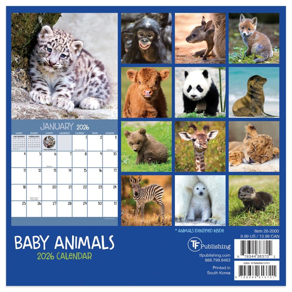 Baby Animals 2026 Mini Wall Calendar First Alternate Image