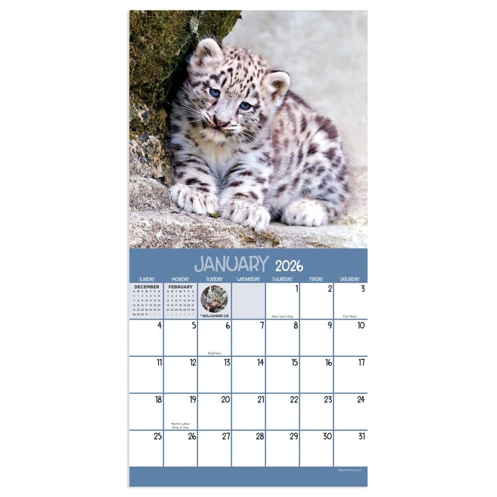 Baby Animals 2026 Mini Wall Calendar Second Alternate Image