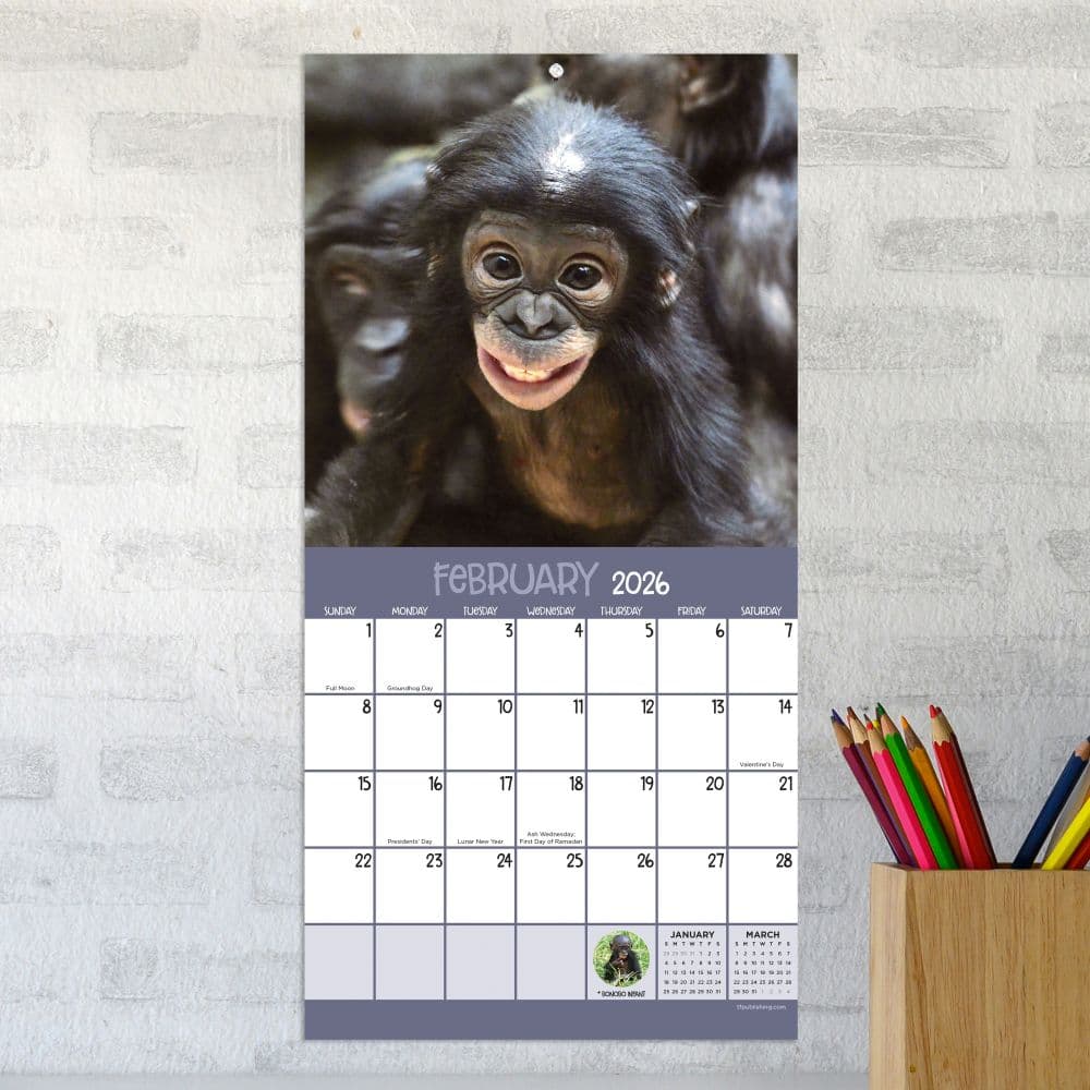Baby Animals 2026 Mini Wall Calendar Third Alternate Image