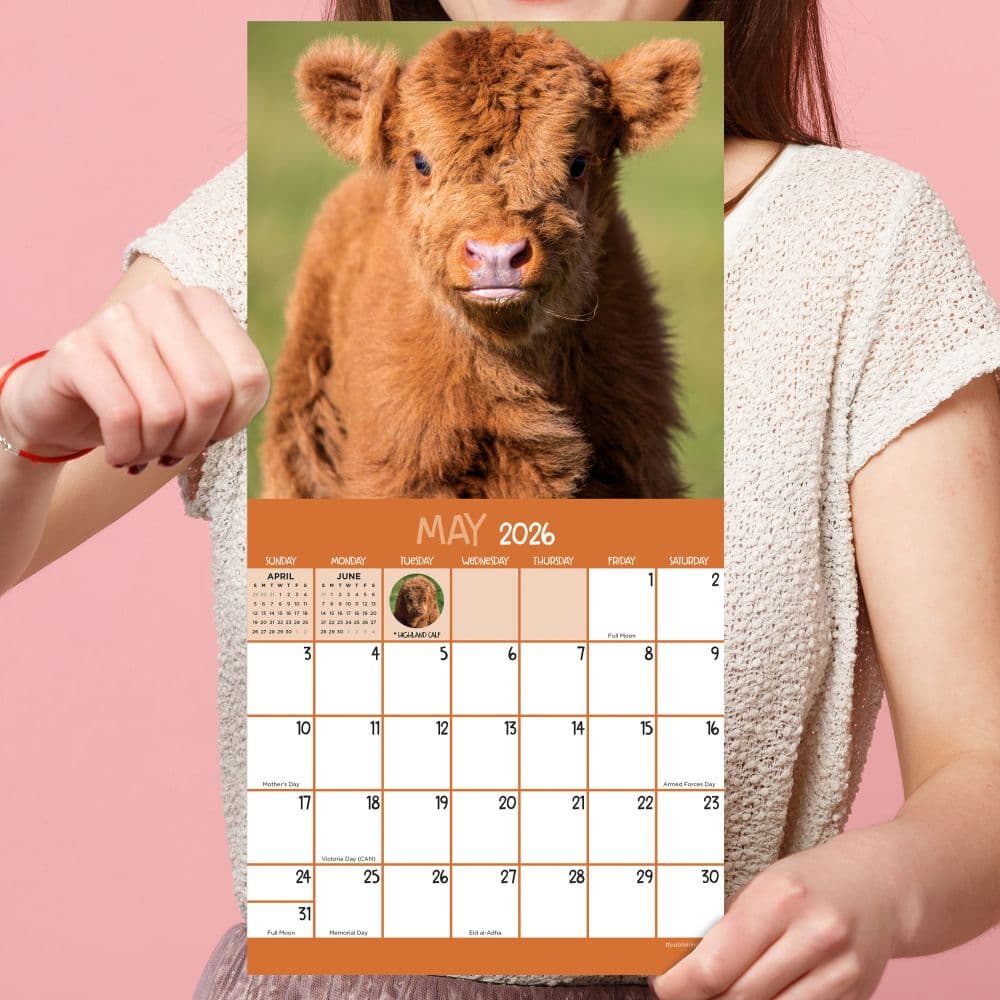 Baby Animals 2026 Mini Wall Calendar Fourth Alternate Image