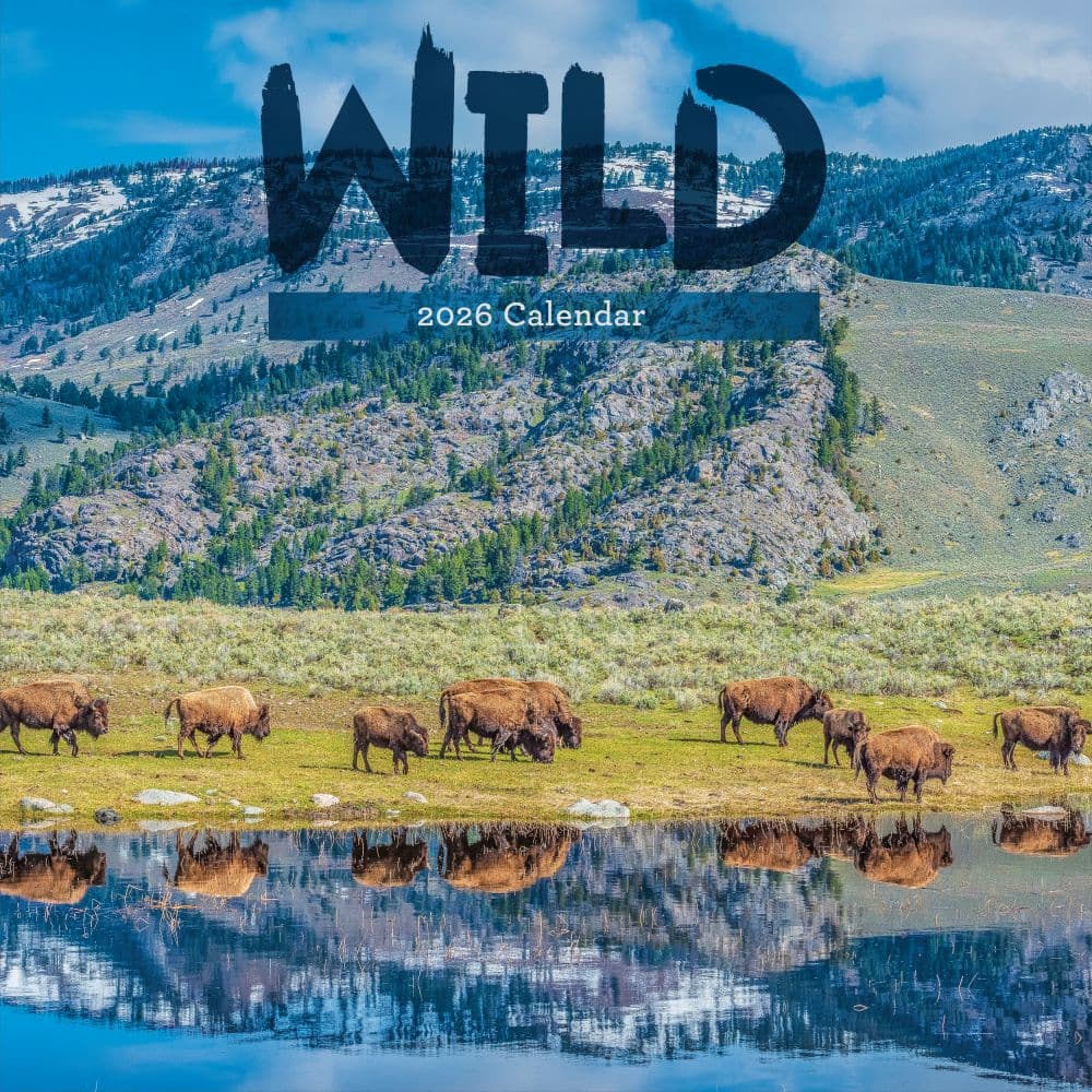 In the Wild Amer Outdoorsman 2026 Wall Calendar Main Product Image