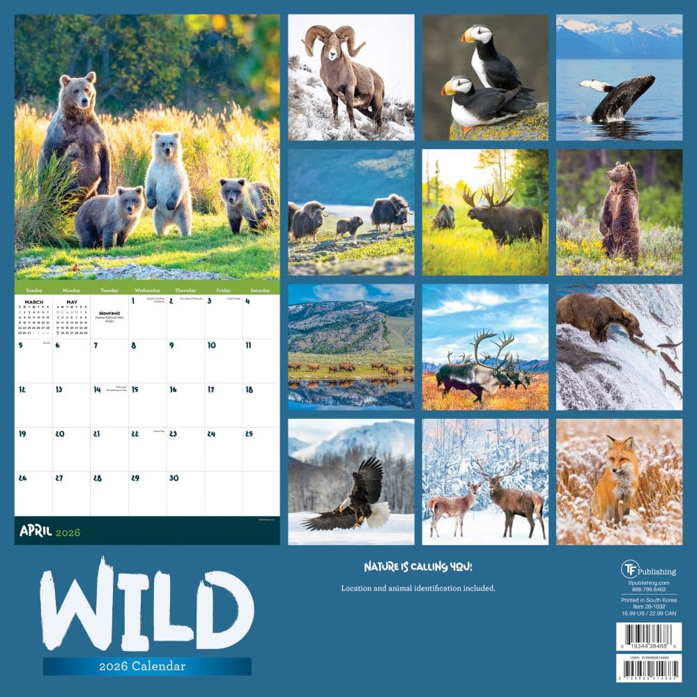 In the Wild Amer Outdoorsman 2026 Wall Calendar First Alternate Image