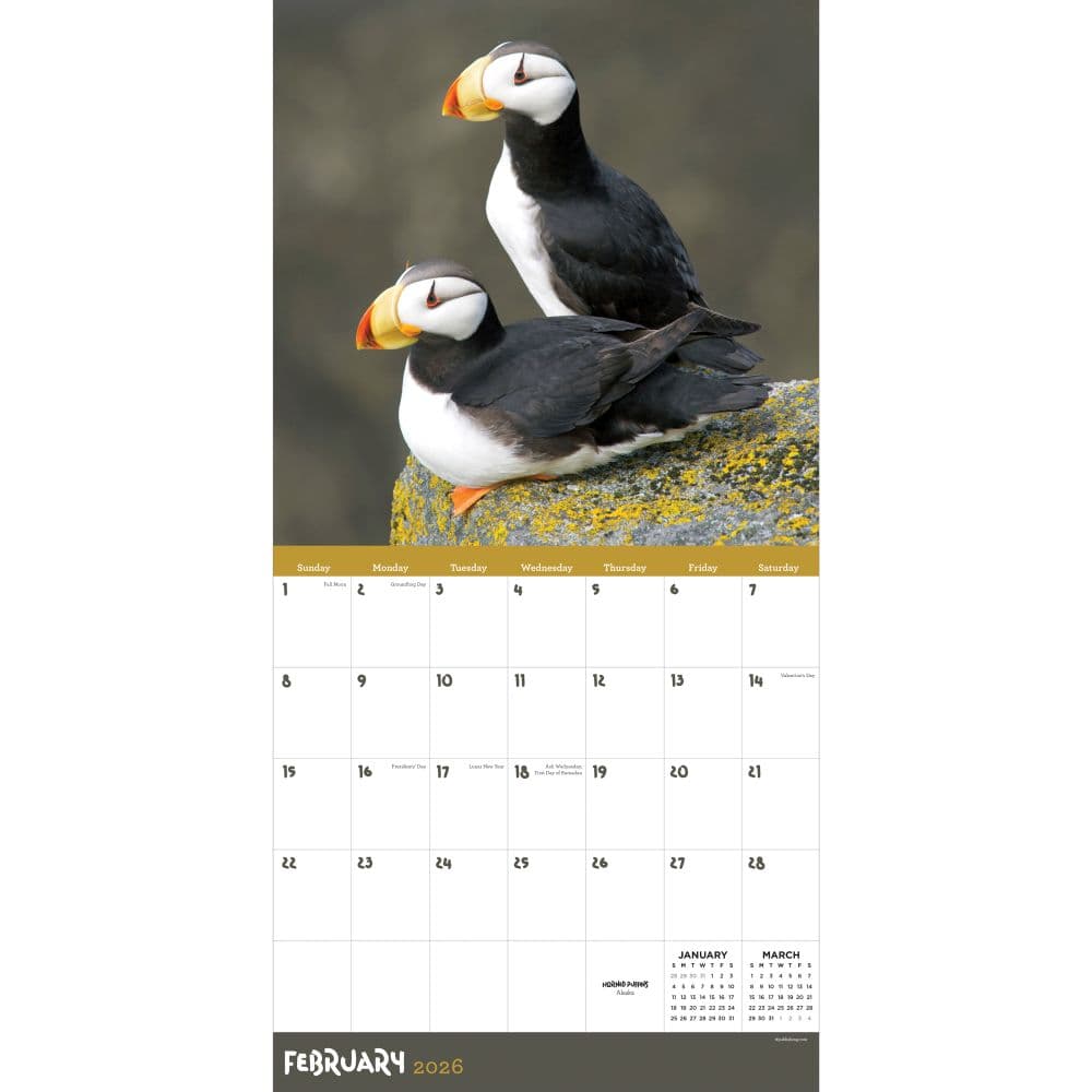 In the Wild Amer Outdoorsman 2026 Wall Calendar Second Alternate Image