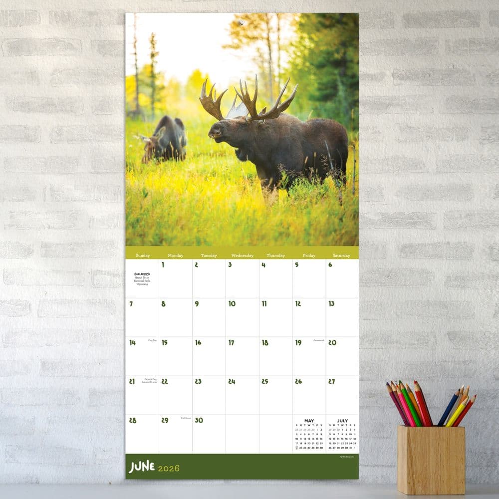 In the Wild Amer Outdoorsman 2026 Wall Calendar Third Alternate Image