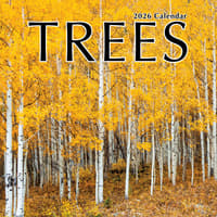 image Trees 2026 Wall Calendar Main Product Image