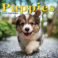 image Puppies 2026 Wall Calendar Main Product Image