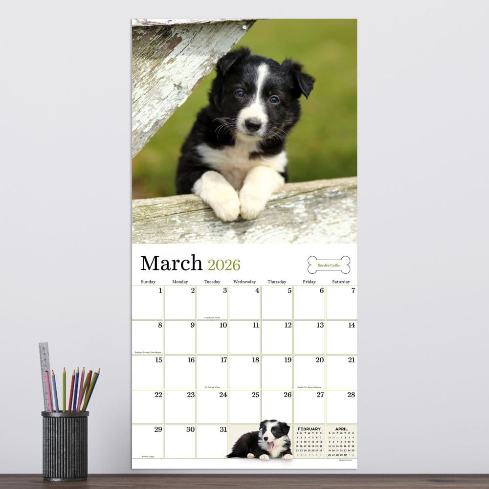 Puppies 2026 Wall Calendar Third Alternate Image