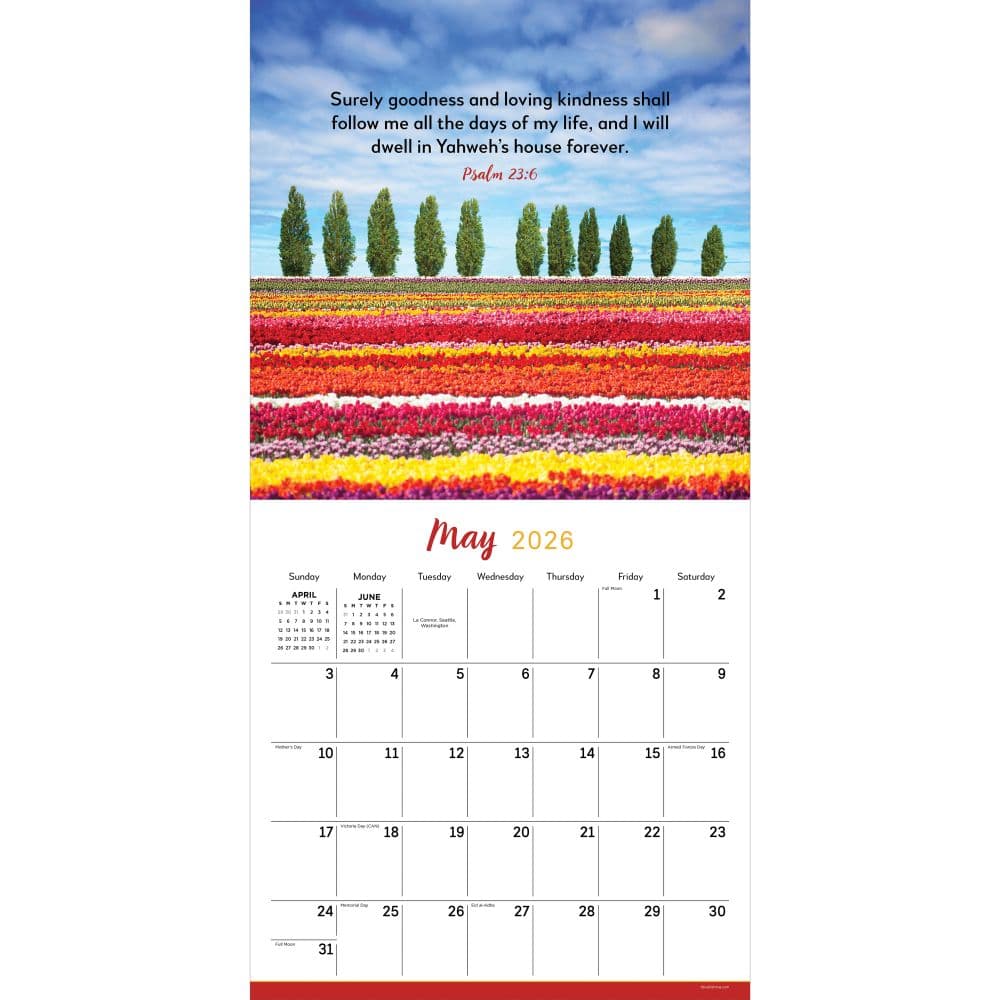 Psalms 2026 Wall Calendar Second Alternate Image
