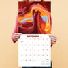 image Landscapes 2026 Wall Calendar Fourth Alternate Image
